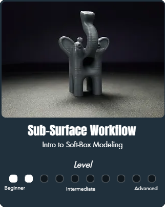 Sub-Surface Workflow